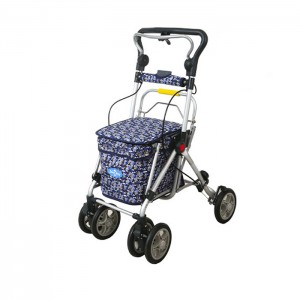 ��ǰ ������